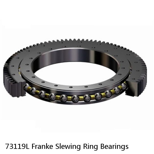 73119L Franke Slewing Ring Bearings