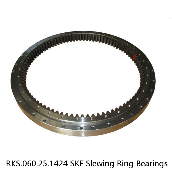 RKS.060.25.1424 SKF Slewing Ring Bearings