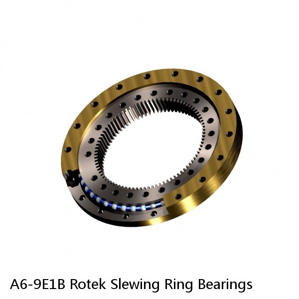 A6-9E1B Rotek Slewing Ring Bearings