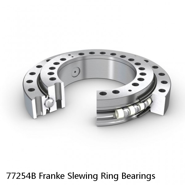 77254B Franke Slewing Ring Bearings #1 small image