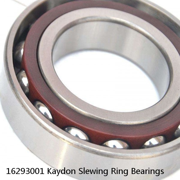 16293001 Kaydon Slewing Ring Bearings #1 small image
