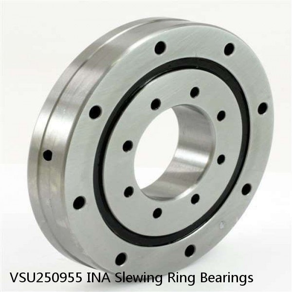 VSU250955 INA Slewing Ring Bearings #1 small image