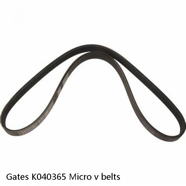 Gates K040365 Micro v belts #1 small image