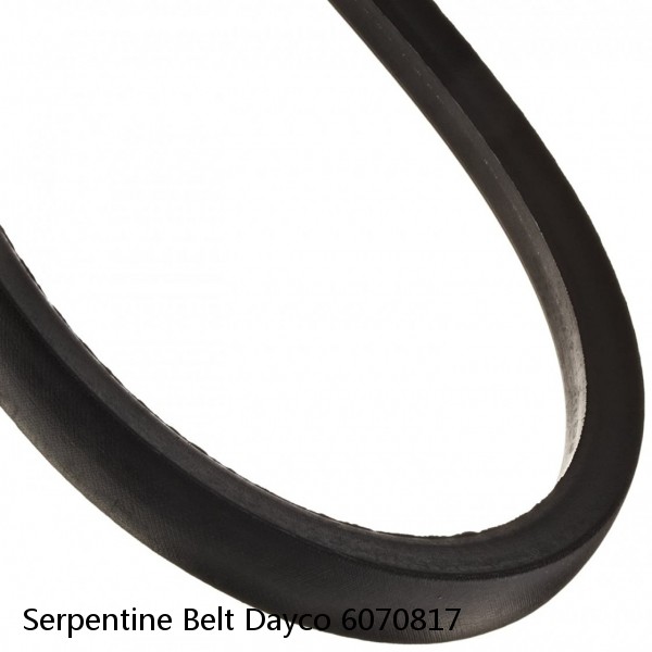 Serpentine Belt Dayco 6070817 #1 small image