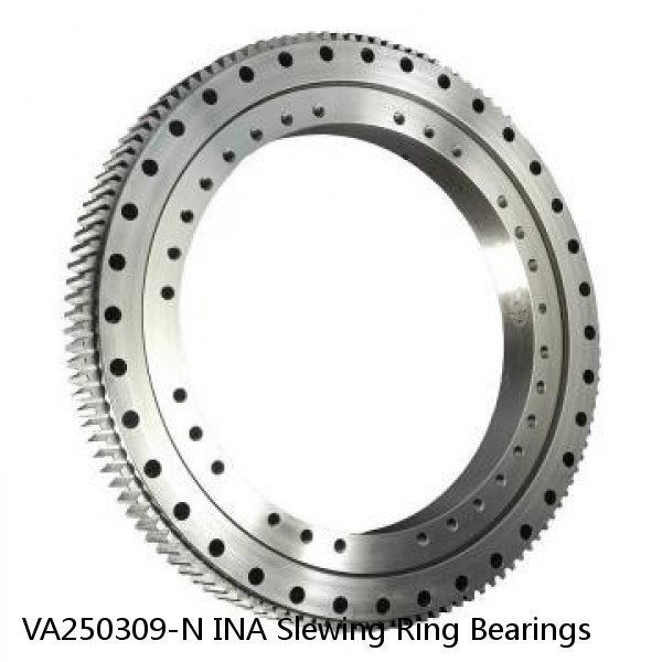 VA250309-N INA Slewing Ring Bearings #1 image