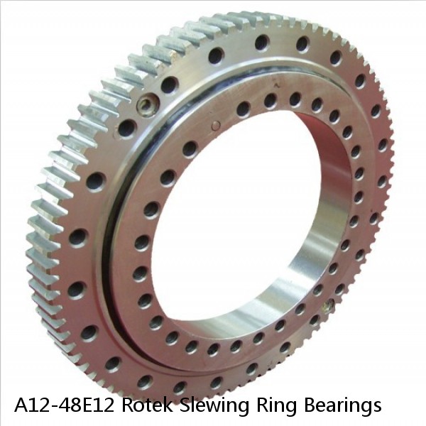 A12-48E12 Rotek Slewing Ring Bearings #1 image
