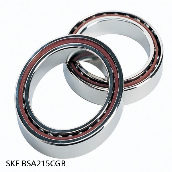BSA215CGB SKF Brands,All Brands,SKF,Super Precision Angular Contact Thrust,BSA #1 image