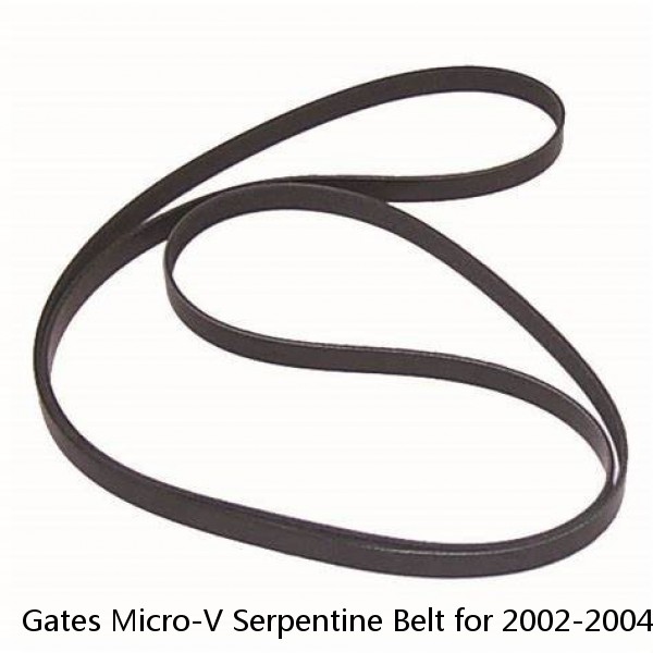 Gates Micro-V Serpentine Belt for 2002-2004 Chevrolet Silverado 1500 4.3L V6 gq #1 image