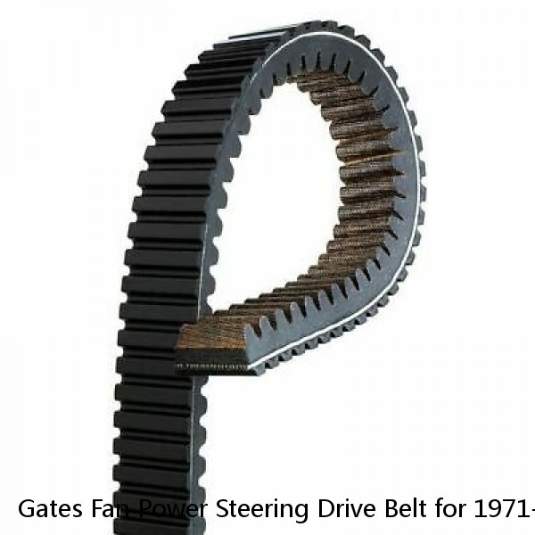 Gates Fan Power Steering Drive Belt for 1971-1979 Pontiac LeMans 7.5L 5.7L lf #1 image